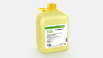 basf celtic